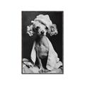 Picture of Spa Day Pooch _GroupedProduct_Rectangle_Portrait_Canvas_Framed_