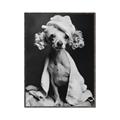 Picture of Spa Day Pooch _GroupedProduct_Rectangle_Portrait_Canvas_Framed_