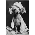 Picture of Spa Day Pooch _GroupedProduct_Rectangle_Portrait_Canvas_Framed_