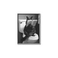 Picture of Kitty Cat Throne Room _GroupedProduct_Rectangle_Portrait_Canvas_Framed_
