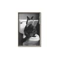 Picture of Kitty Cat Throne Room _GroupedProduct_Rectangle_Portrait_Canvas_Framed_