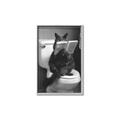 Picture of Kitty Cat Throne Room _GroupedProduct_Rectangle_Portrait_Canvas_Framed_