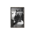 Picture of Kitty Cat Throne Room _GroupedProduct_Rectangle_Portrait_Canvas_Framed_