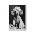 Picture of Spa Day Pooch _GroupedProduct_Rectangle_Portrait_Framed_Matted_