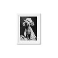 Picture of Spa Day Pooch _GroupedProduct_Rectangle_Portrait_Framed_Matted_