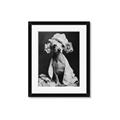 Picture of Spa Day Pooch _GroupedProduct_Rectangle_Portrait_Framed_Matted_