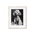 Picture of Spa Day Pooch _GroupedProduct_Rectangle_Portrait_Framed_Matted_