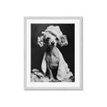 Picture of Spa Day Pooch _GroupedProduct_Rectangle_Portrait_Framed_Matted_