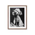 Picture of Spa Day Pooch _GroupedProduct_Rectangle_Portrait_Framed_Matted_