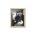 Picture of Kitty Cat Throne Room _GroupedProduct_Rectangle_Portrait_Framed_Matted_