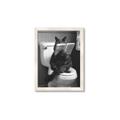Picture of Kitty Cat Throne Room _GroupedProduct_Rectangle_Portrait_Framed_Matted_