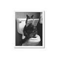 Picture of Kitty Cat Throne Room _GroupedProduct_Rectangle_Portrait_Framed_Matted_