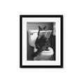Picture of Kitty Cat Throne Room _GroupedProduct_Rectangle_Portrait_Framed_Matted_