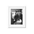 Picture of Kitty Cat Throne Room _GroupedProduct_Rectangle_Portrait_Framed_Matted_