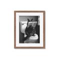 Picture of Kitty Cat Throne Room _GroupedProduct_Rectangle_Portrait_Framed_Matted_