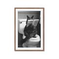 Picture of Kitty Cat Throne Room _GroupedProduct_Rectangle_Portrait_Framed_Matted_