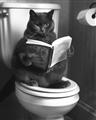 Picture of Plus Size Kitty on the Loo _GroupedProduct_Rectangle_Portrait_Unframed_Print_Only_