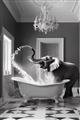Picture of Joyful Elephant Bath Time _GroupedProduct_Rectangle_Portrait_Unframed_Print_Only_