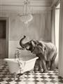 Picture of Luxuary Elephant _GroupedProduct_Rectangle_Portrait_Unframed_Print_Only_