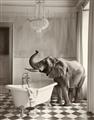 Picture of Luxuary Elephant _GroupedProduct_Rectangle_Portrait_Unframed_Print_Only_