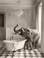 Picture of Luxuary Elephant _GroupedProduct_Rectangle_Portrait_Unframed_Print_Only_