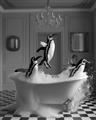Picture of Penguin Party _GroupedProduct_Rectangle_Portrait_Unframed_Print_Only_
