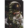 Picture of Untamed Spaceman _GroupedProduct_Rectangle_Portrait_Unframed_Print_Only_