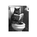 Picture of Plus Size Kitty on the Loo _GroupedProduct_Rectangle_Portrait_Unframed_Print_Only_