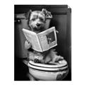 Picture of Potty Pooch _GroupedProduct_Rectangle_Portrait_Unframed_Print_Only_