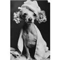 Picture of Spa Day Pooch _GroupedProduct_Rectangle_Portrait_Unframed_Print_Only_