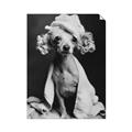 Picture of Spa Day Pooch _GroupedProduct_Rectangle_Portrait_Unframed_Print_Only_
