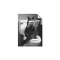 Picture of Kitty Cat Throne Room _GroupedProduct_Rectangle_Portrait_Unframed_Print_Only_