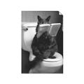 Picture of Kitty Cat Throne Room _GroupedProduct_Rectangle_Portrait_Unframed_Print_Only_