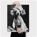 Picture of Spa Day Pooch _GroupedProduct_Rectangle_Portrait_Canvas_