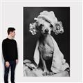 Picture of Spa Day Pooch _GroupedProduct_Rectangle_Portrait_Canvas_