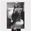 Picture of Kitty Cat Throne Room _GroupedProduct_Rectangle_Portrait_Canvas_