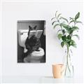 Picture of Kitty Cat Throne Room _GroupedProduct_Rectangle_Portrait_Canvas_