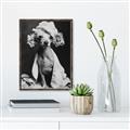Picture of Spa Day Pooch _GroupedProduct_Rectangle_Portrait_Canvas_Framed_