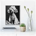 Picture of Spa Day Pooch _GroupedProduct_Rectangle_Portrait_Canvas_Framed_