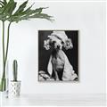 Picture of Spa Day Pooch _GroupedProduct_Rectangle_Portrait_Canvas_Framed_