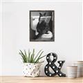 Picture of Kitty Cat Throne Room _GroupedProduct_Rectangle_Portrait_Canvas_Framed_