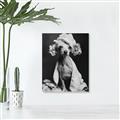Picture of Spa Day Pooch _GroupedProduct_Rectangle_Portrait_Unframed_Print_Only_