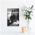 Picture of Kitty Cat Throne Room _GroupedProduct_Rectangle_Portrait_Unframed_Print_Only_