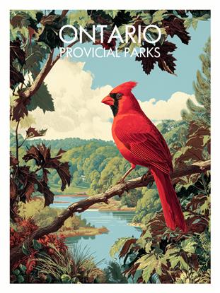 Picture of Still Waters, Wild Voices