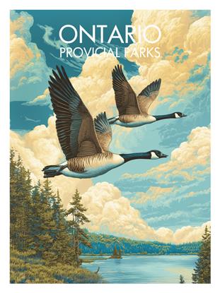 Picture of Echoes of the Lake