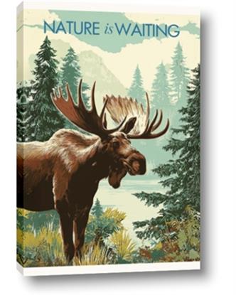 Picture of Nature is Waiting