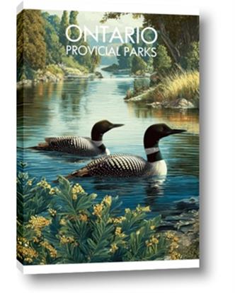 Picture of Still Waters, Wild Shores