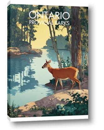 Picture of Reflections of the Wild