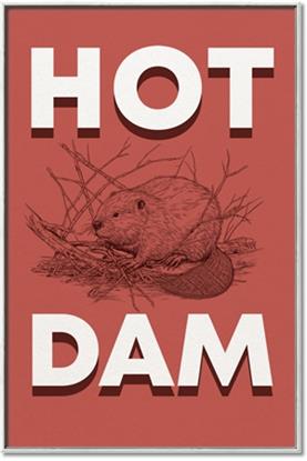 Picture of Hot Dam